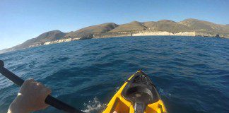requin attaque un kayak